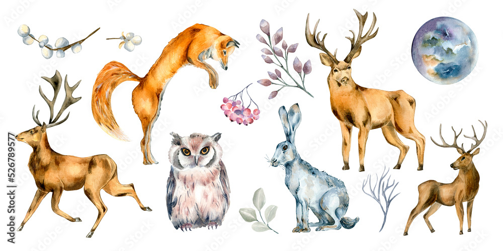 Naklejka premium Set of wild animals and forest plants watercolor illustration isolated on white.