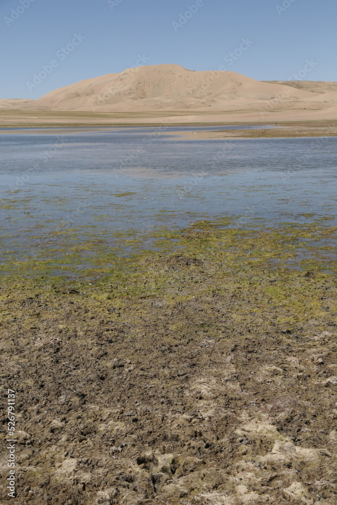 in the land of mongolia the nature in the land of mongolia the nature