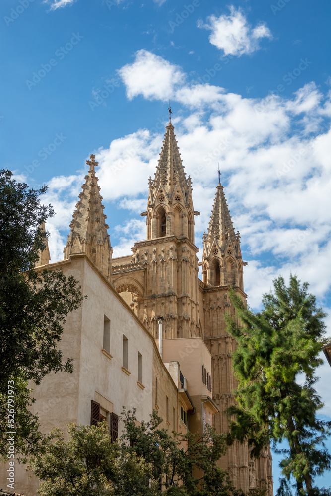 Exterior view of the cathedral of Palma de Mallorca (Spain) on a summer morning