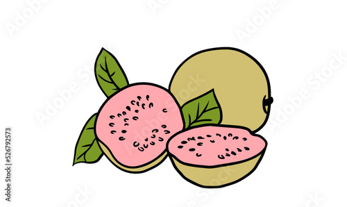 Colorful guava fruit