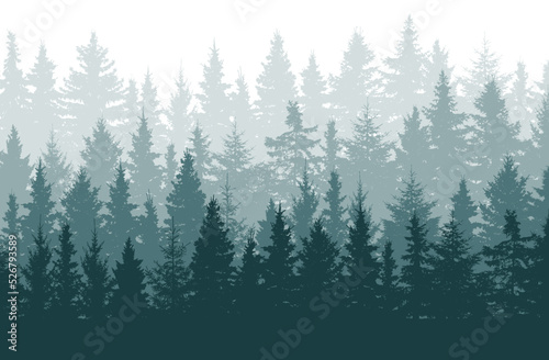 Forest background, beautiful landscape wallpaper. Silhouettes of fir trees. Vector illustration