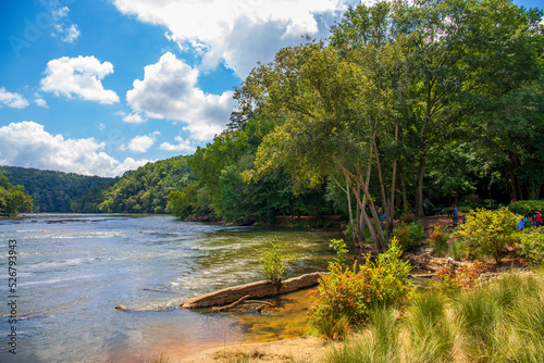 Fototapeta Naklejka Na Ścianę i Meble -  a gorgeous summer landscape along the Chattahoochee river with flowing river water surrounded by lush green trees, grass and plants with a gorgeous blue sky and clouds at Walton On The Chattahoochee