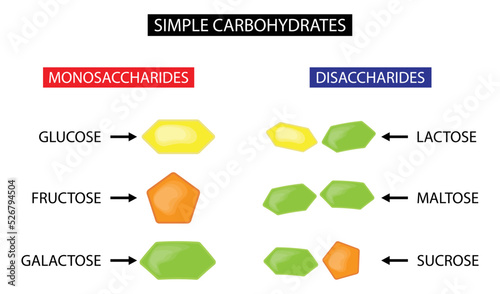illustration of chemistry and biology, Simple Carbohydrates,  carbohydrate  is a biomolecule consisting of carbon, hydrogen and oxygen atoms, monosaccharides and disaccharides