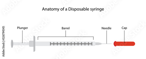 illustration of biology and medical, Anatomy of a Disposable syringe, An antique glass and metal syringe, Medical syringes, infuse intravenous therapy into the bloodstream