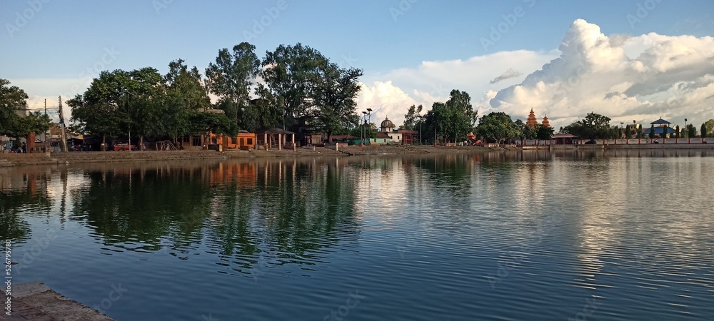 Obraz premium reflection of trees in lake