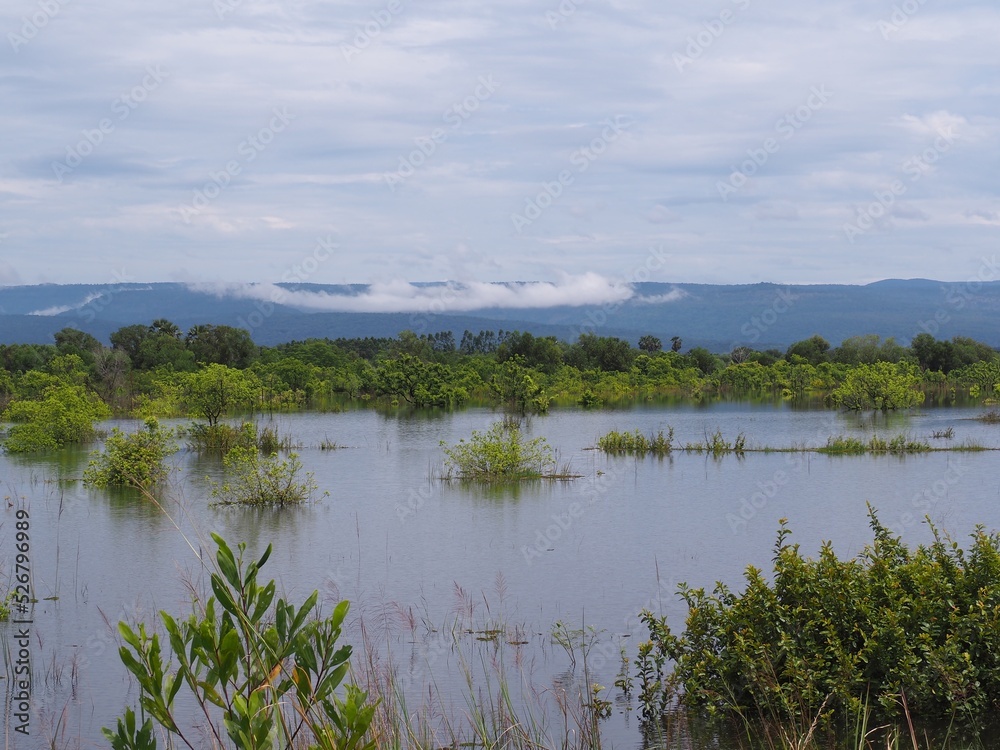 flood , consequences of downpour, Rainy summer flood , consequences of downpour, Rainy summer