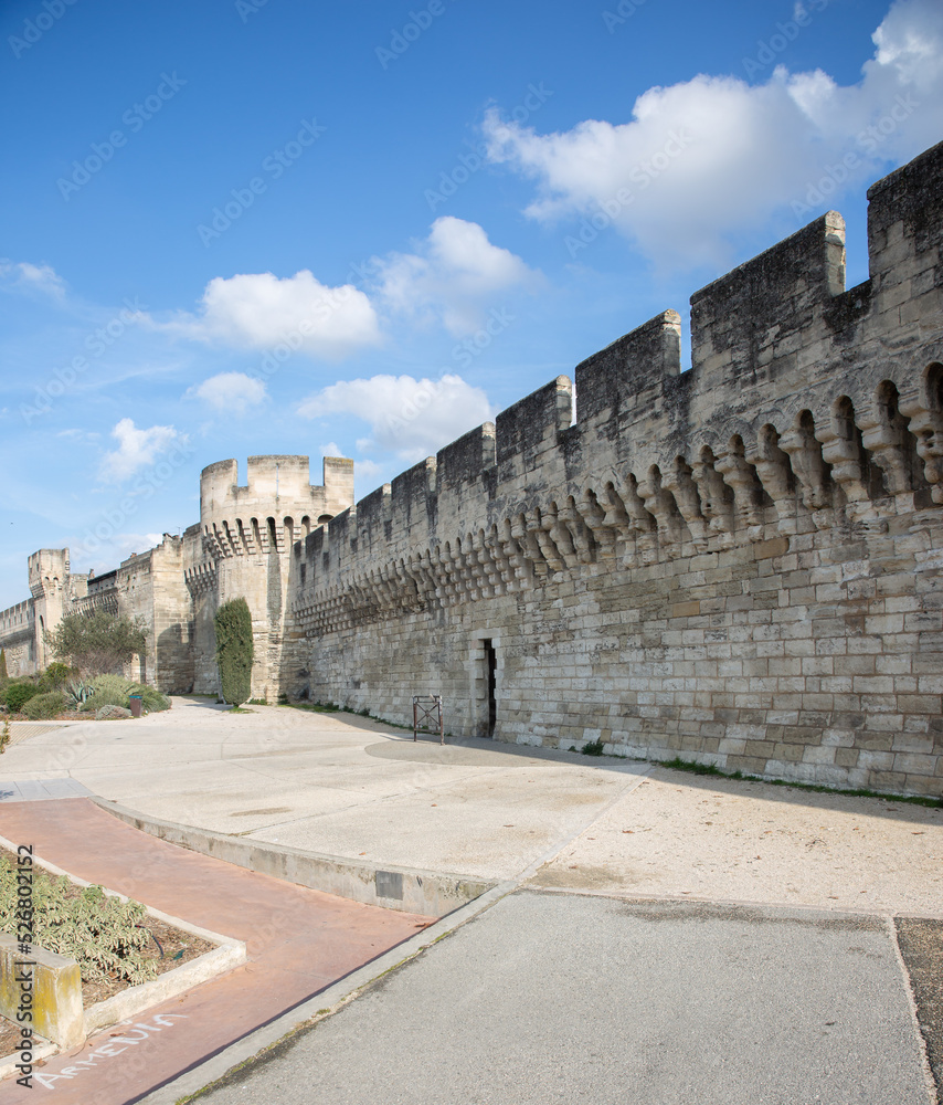 Obraz premium remparts d'Avignon