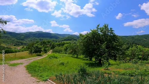 Country side landscape during summer day.
