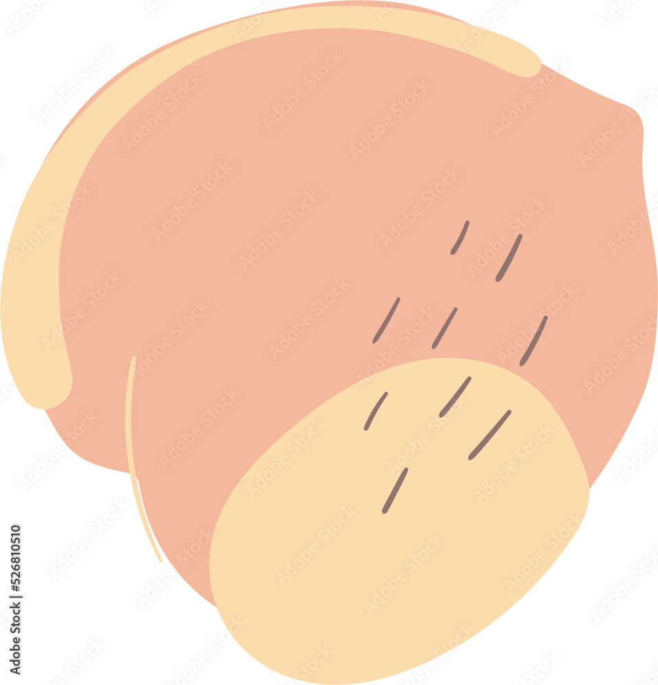 Branches with fruits and flowers of orange, pomegranate, lemon, peach in the night garden Branches with fruits and flowers of orange, pomegranate, lemon, peach in the night garden