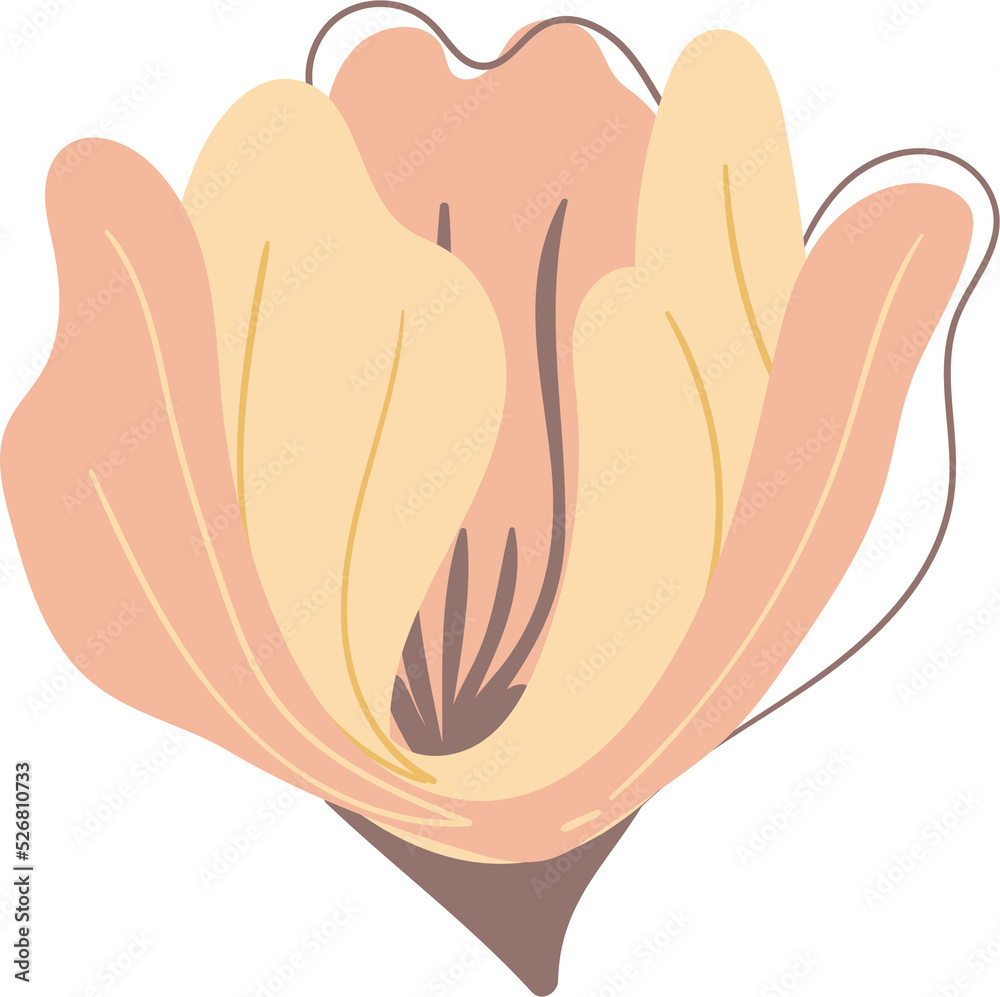 Branches with fruits and flowers of orange, pomegranate, lemon, peach in the night garden Branches with fruits and flowers of orange, pomegranate, lemon, peach in the night garden