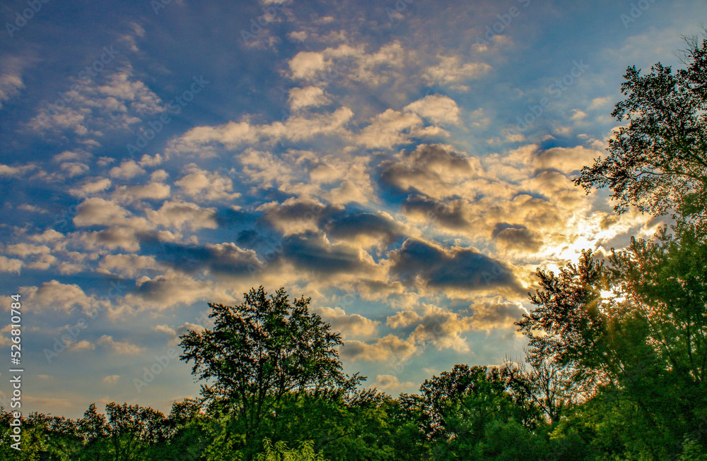 sunset in the field