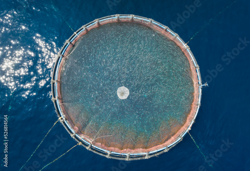 Canvas Print Aerial top view of a round fish cage at a fish farm in the mediterranean sea