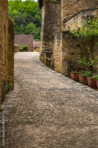 Fototapeta Naklejka Na Ścianę i Meble -  la Roche-Gageac - Dordogne - France
