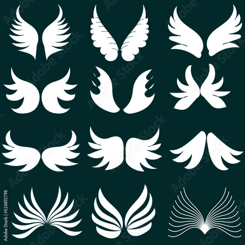 Color Wings Doodles Set vector 