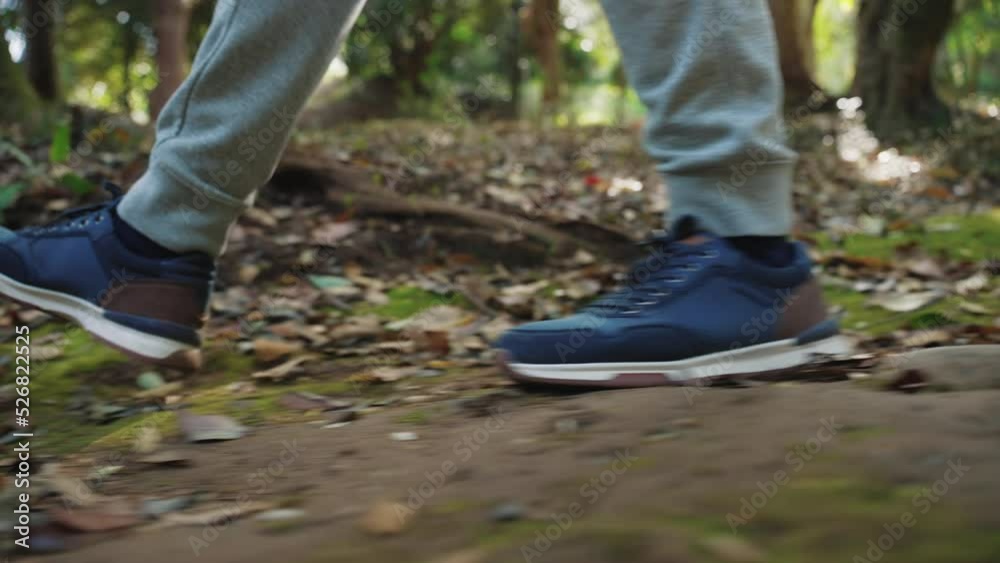 One Man Travels and Walks Outdoors in Woodland Nature or Workout in Forest Park. Scene of Adult Male Traveler Exploring Rural Hill in Garden Landscape. Concept of Person Exercising on Foot Close-up 4k One Man Travels and Walks Outdoors in Woodland Nature or Workout in Forest Park. Scene of Adult Male Traveler Exploring Rural Hill in Garden Landscape. Concept of Person Exercising on Foot Close-up 4k