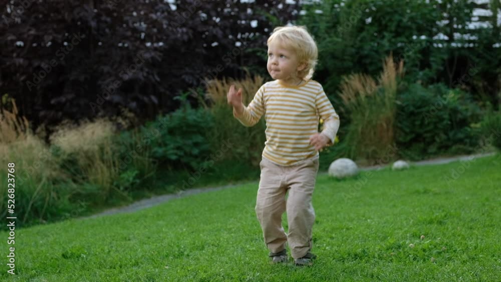 Little boy with white hair is dancing on lawn. Blonde child jumps and rejoices in victory on grass in park. Little boy with white hair is dancing on lawn. Blonde child jumps and rejoices in victory on grass in park.