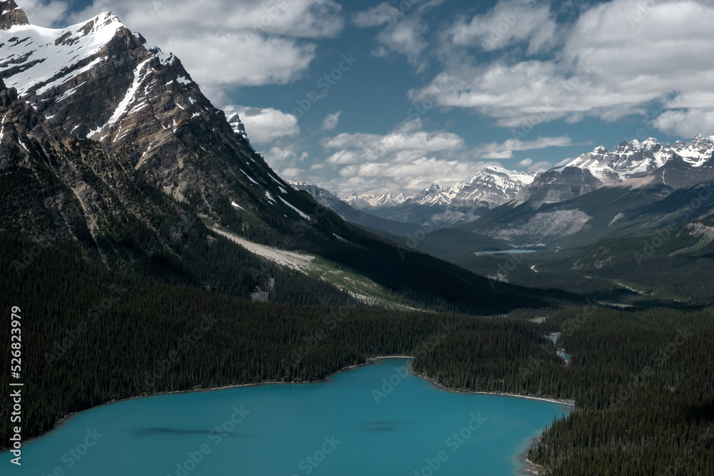Landscape from above lake Peyto surrounded with peaks and forest