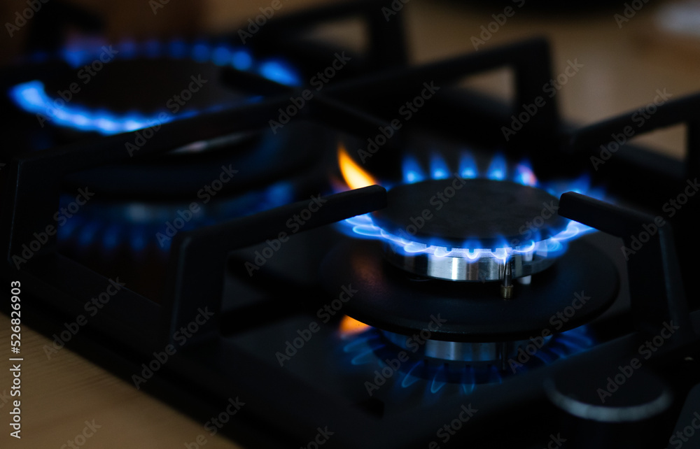 kitchen gas cooker with burning fire propane gas kitchen gas cooker with burning fire propane gas