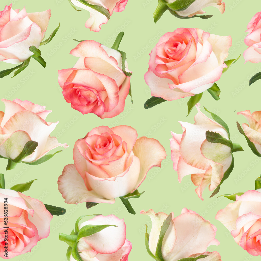 Seamless pattern of rose flowers photo on light green background