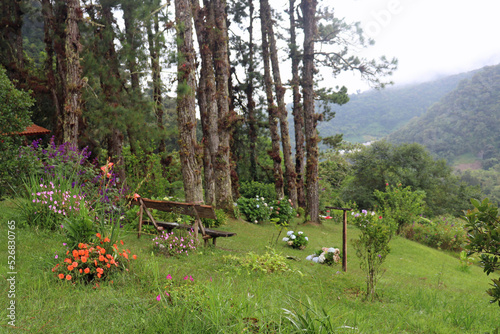 Fototapeta Naklejka Na Ścianę i Meble -  Tropical Rainforest Rest Area Overlooking Beautiful Green Mountain Valley
