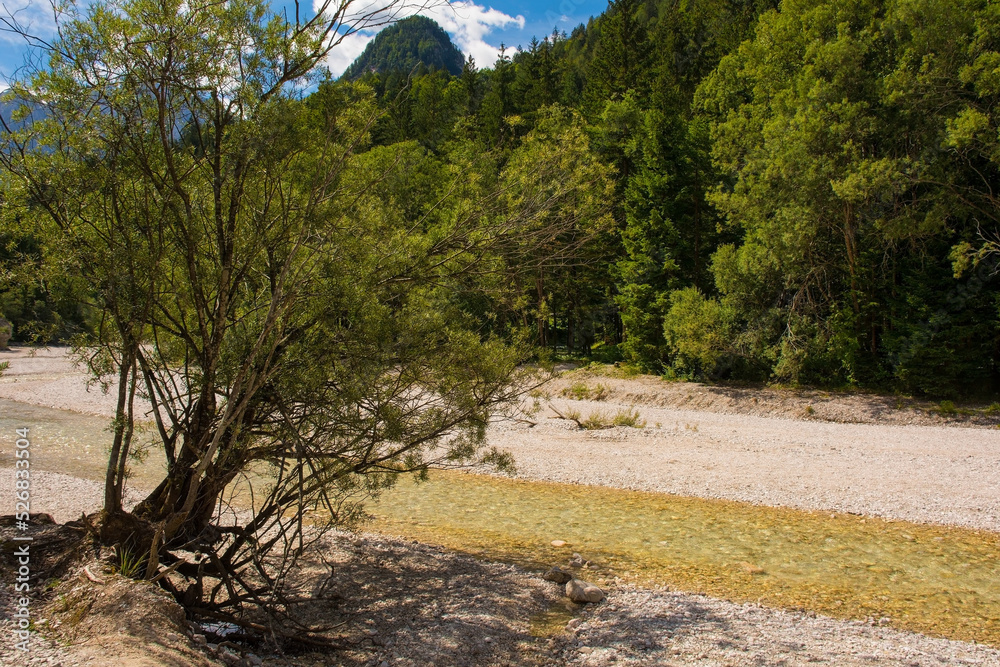 Fototapeta premium The Pisnica River in Kranjska Gora in the Upper Carniola region of north west Slovenia. It is a tributary of the Sava Dolinka River