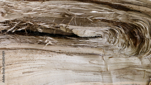 Surface of brown wood textu...