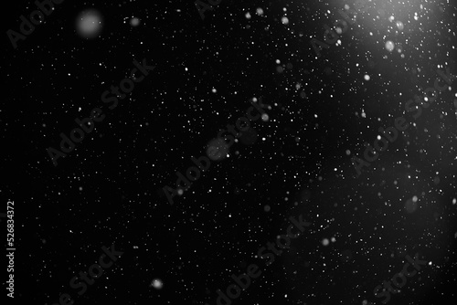 Obraz na płótnie Snowflakes falling down on black background, heavy snow flakes isolated, Flying