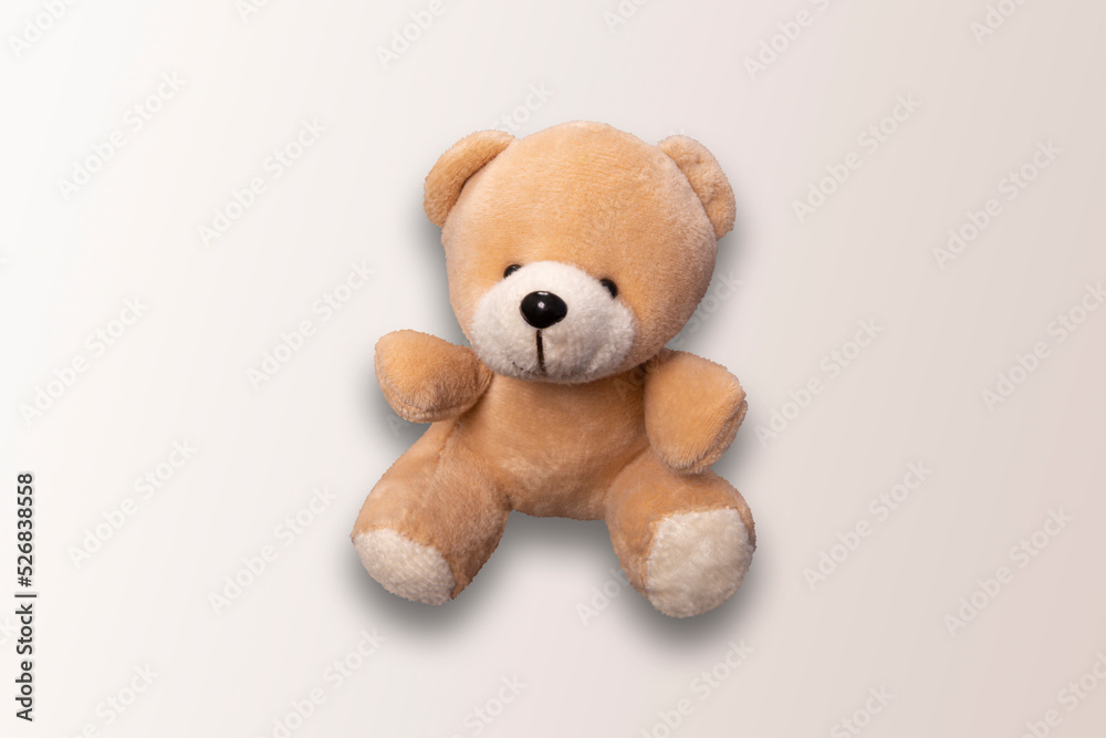 Teddy bear on light background Teddy bear on light background