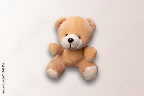 Teddy bear on light background
