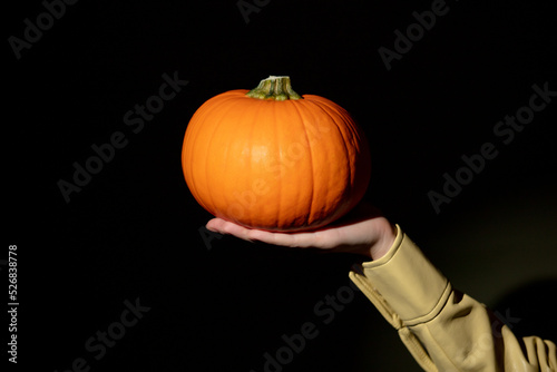Woman hand hold orange pumpkin on dark background photo