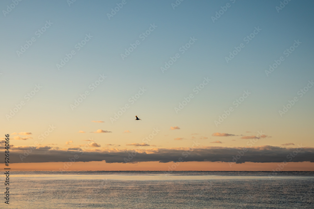 A Light Mist on Lake Ontario on a Late Autumn Morning at Wicklow Beach in Alnwick/Haldimand A Light Mist on Lake Ontario on a Late Autumn Morning at Wicklow Beach in Alnwick/Haldimand