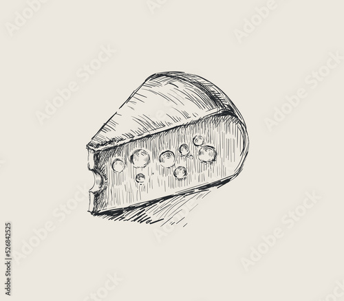 Piece of Cheese Hand Drawn Vector Illustration