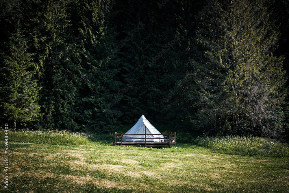 front view of glamping camping tent in green meadow surrounded by fir tree forest
