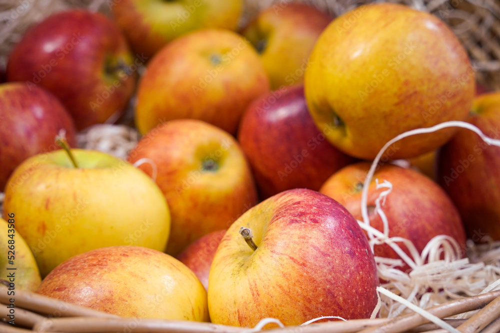 Basket of fresh, red organic gala apples