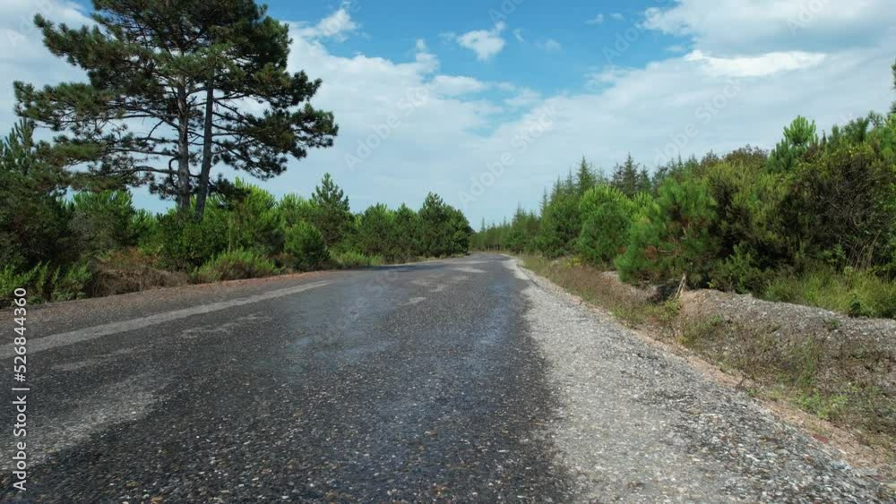road and forest road and forest