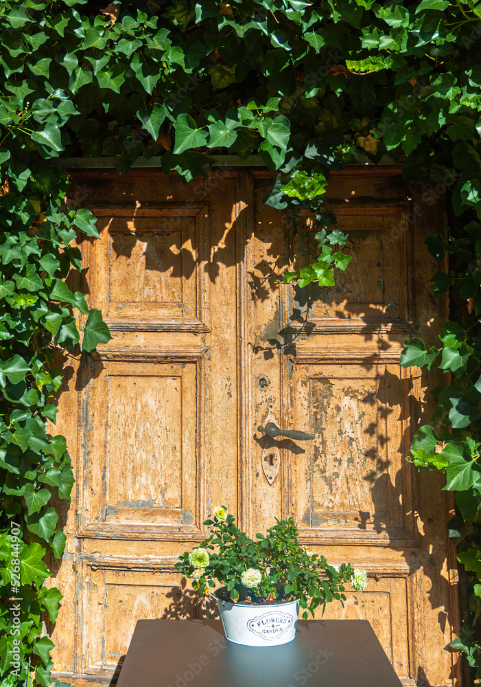An old wooden door in a wall covered with green ivy