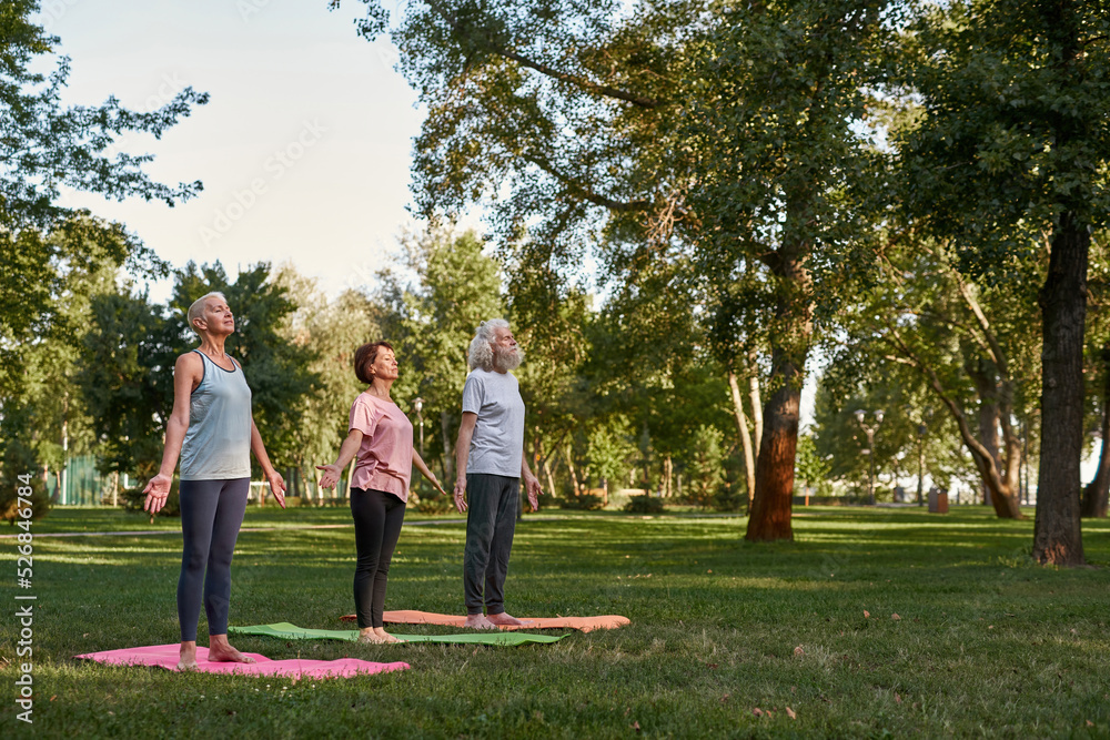 Senior friends meditating on fitness mats on lawn Senior friends meditating on fitness mats on lawn