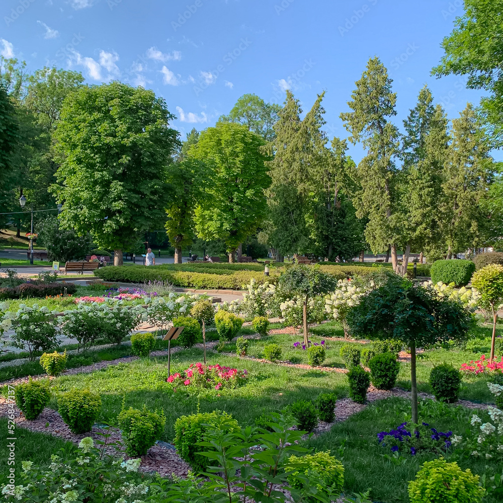 The resort park of one of the ecologically cleanest cities of Ukraine. Truskavets, August 2022. The resort park of one of the ecologically cleanest cities of Ukraine. Truskavets, August 2022.