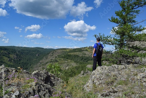 A man with a black backpack stands by a larch tree and looks at a mountain gorge on a summer day