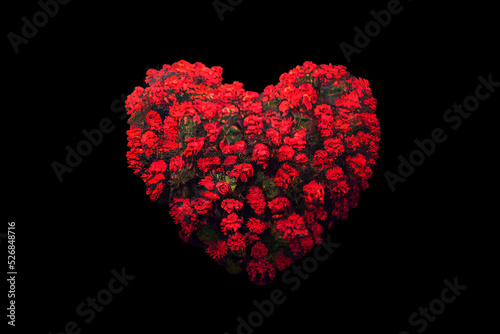 Bouquet of red flowers in the shape of a heart. Romantic gift for valentine's day. Surprise for the woman you love. Greeting card design. Heart of flowers - A symbol of love and devotion