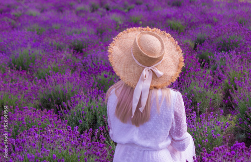 Woman in a field of lavender flowers in a white dress. Ukraine.