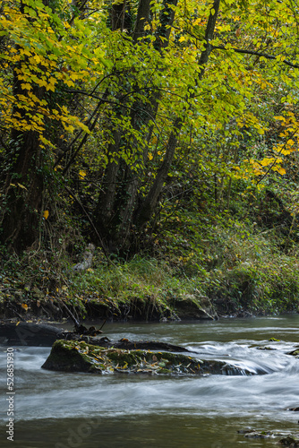 Gradac river in western Serbia in early autumn