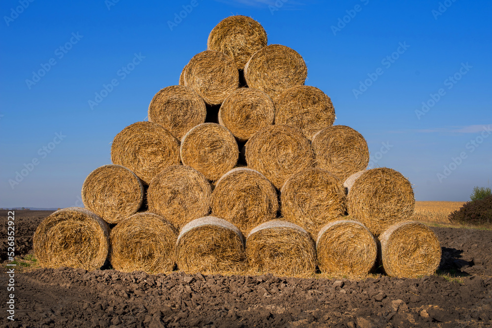 rolls of bales of straw or hay for the winter in the shape of a pyramid rolls of bales of straw or hay for the winter in the shape of a pyramid