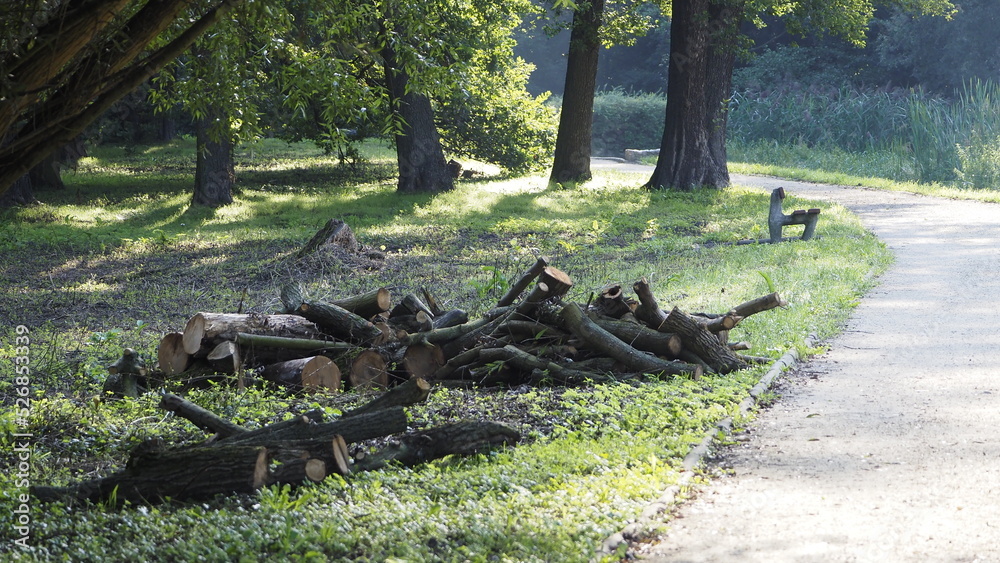 park, zieleń, odpoczynek, trawa, klimat, drzewa park, zieleń, odpoczynek, trawa, klimat, drzewa