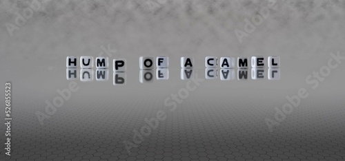Photography hump of a camel word or concept represented by black and white letter cubes on a