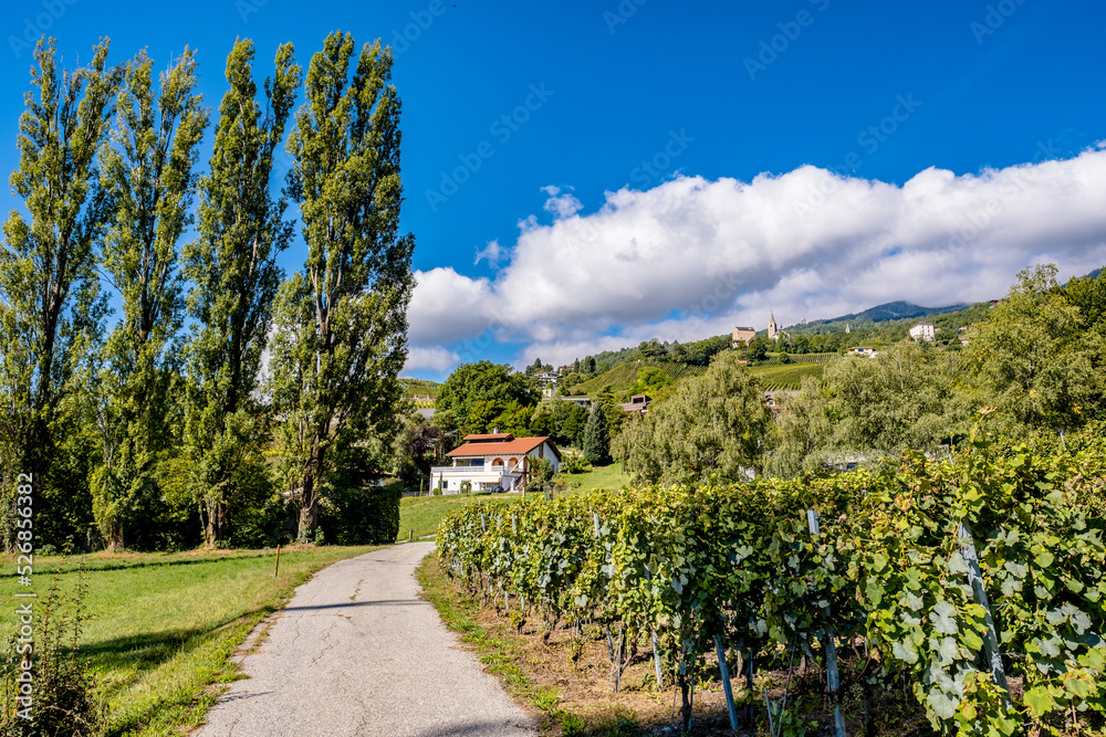 Landscape and Vineyards - Veyras, Switzerland