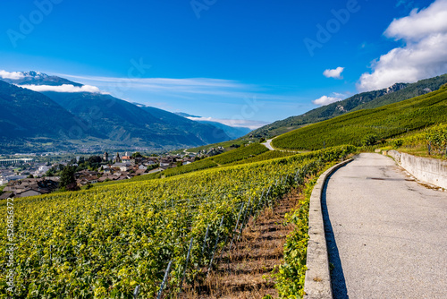 Canvas Print Panoramic view over the vineyards - Sierre, Switzerland