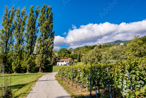 Landscape and Vineyards - Veyras  Switzerland
