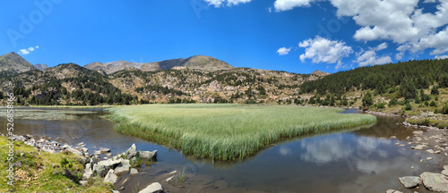 Fotografie, Obraz panorama sur un lac de montagne couvert d'herbe hautes