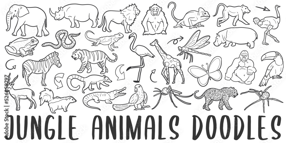 Jungle Animals Banner Doodle Icons. Hand Made Line Art. Zoo Clipart  Logotype Symbol Design. Stock Vector | Adobe Stock